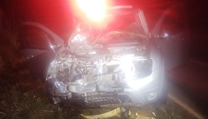 Pinhão - Casal fica ferido após veículo atropelar vaca na PR-459